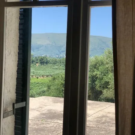 Lofos Estate דירה *