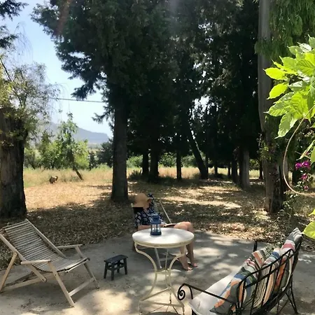 Lofos Estate זקינטוס טאון