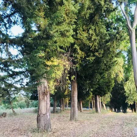 Lofos Estate *